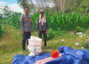 Dukung Program Asta Cita, Bhabinkamtibmas Desa Mokong Sambangi Petani di Persawahan Dusun Pelita