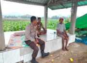 Bhabinkamtibmas Polsek Hu’u Edukasi Petani Tembakau untuk Dukung Ketahanan Pangan dan Peningkatan Hasil Pertanian