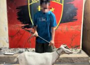 Tim Unit Reaksi Cepat Polres Dompu Berhasil Ungkap Kasus Curat dalam Operasi Jaran Rinjani 2026