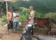 Bhabinkamtibmas Desa Rababaka Aktif Sambangi Peternak dan Edukasi Pemanfaatan Pekarangan untuk Dukung Ketahanan Pangan