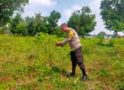Polisi RW Polsek Tuban Monitoring Lahan Cabai Warga sebagai Wujud Dukungan Ketahanan Pangan