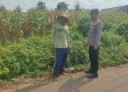 Polsek Tambakboyo Polres Tuban Turun Cek Tanaman jagung Warga di Desa Mander