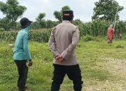 Polri Dukung Astacita, Polsek Semanding Polres Tuban Turun Cek Tanaman jagung milik Warga di Desa Semanding