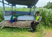 Polsek Montong Polres Tuban Turun Cek Tanaman jagung Warga di Desa Talun