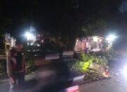 Jalan Tembobor Terbuka Lagi: Polri-Damkar-BPBD Evakuasi Pohon Tumbang*