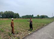 Polri Dukung Astacita, Polsek Palang Polres Tuban jagung milik Warga di Desa Glodog
