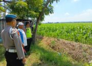 Polri Dukung Astacita, Polsek Rengel Polres Tuban Turun Cek Tanaman Jagung Warga di Desa Maibit
