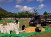 Bhabinkamtibmas Desa Sawe Pantau Hasil Panen Jagung dan Dorong Pemanfaatan Pekarangan Produktif