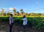 Bhabinkamtibmas Polsek Hu’u Sambangi Petani Cabai di Cempi Jaya, Berikan Edukasi Perawatan Tanaman untuk Dukung Ketahanan Pangan