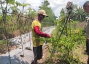 Polri Dorong Ketahanan Pangan di Kuranji Dalang Lombok Barat