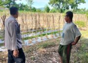 Ketahanan Pangan: Polsek Labuapi Ajak Warga Manfaatkan Lahan