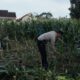 Dukung Ketahanan Pangan, Polsek Labuapi Inisiasi Tanam Jagung