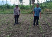 Polsek Kuripan Dampingi Petani Jagaraga Dorong Ketahanan Pangan