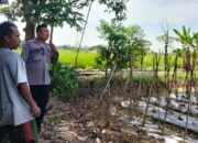 Polsek Labuapi Ajak Warga Manfaatkan Lahan Pekarangan