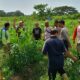 Warga Duduk Atas Lombok Barat Sulap Pekarangan Jadi Kebun