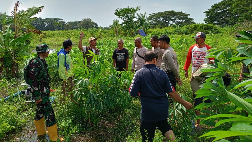 Warga Duduk Atas Lombok Barat Sulap Pekarangan Jadi Kebun