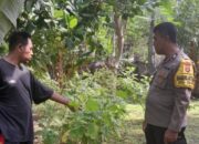 Bhabinkamtibmas Senggigi Gerakkan Warga Manfaatkan Lahan Tidur