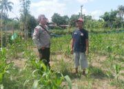 Dukung Swasembada Pangan, Polsek Batulayar Dampingi Petani Lokal Manfaatkan Lahan Kosong
