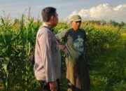 Dukung Ketahanan Pangan, Bhabinkamtibmas Polsek Labuapi Dampingi Warga Manfaatkan Lahan Pekarangan