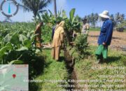 Bhabinkamtibmas Desa Masbagik Utara Laksanakan Silaturahmi dan Kontrol Tanaman Petani untuk Mendukung Ketahanan Pangan