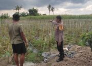 Bhabinkamtibmas Lombok Barat Dampingi Petani Dorong Ketahanan Pangan