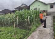 Bhabinkamtibmas Desa Paokmotong Monitoring Program Ketahanan Pangan, Dukung Swasembada Pangan Pemerintah