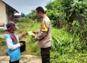 Bhabinkamtibmas Labuapi Turun Tangan, Dorong Kemandirian Pangan Keluarga Lewat Pekarangan Bergizi