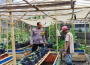 Bhabinkamtibmas Polsek Labuapi Dampingi Petani Sayur di Bajur