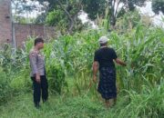Bhabinkamtibmas Karang Bongkot Kawal Ketahanan Pangan Nasional
