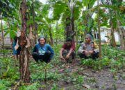 Bhabinkamtibmas Desa Bengkaung Edukasi Petani Optimalkan Lahan Produktif