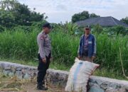 Aksi Nyata Polsek Labuapi Kawal Kedaulatan Pangan, Borong Semangat Petani di Sawah