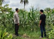 Polsek Labuapi Dampingi Petani Lokal Perkuat Ketahanan Pangan Desa