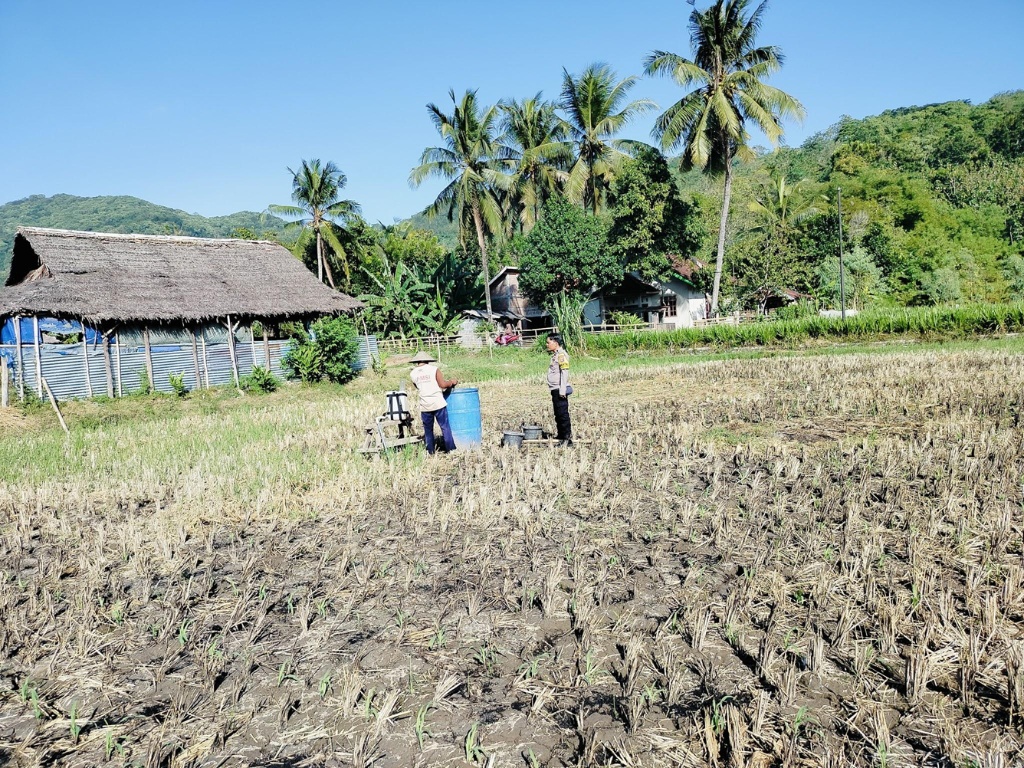 Antisipasi Gagal Panen, Bhabinkamtibmas Kuripan Edukasi Teknik Semprot Bibit Jagung