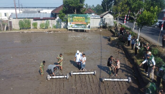 Kolaborasi TNI dan Petani Wujudkan Swasembada Pangan di Lombok Barat