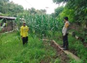 Pendampingan petani oleh Bhabinkamtibmas wujud komitmen polri untuk ketahanan pangan