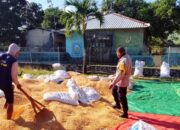 Dampingi Petani Pascapanen Jagung,Polri Edukasi Kualitas Hasil Panen untuk Tingkatkan Nilai Jual