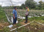 Dukung Swasembada Pangan, Bhabinkamtibmas Desa Rhee Loka Pantau Budidaya Cabai Warga