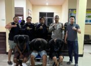 Tim Puma Polres Sumbawa Bersama Polsek Alas Ringkus Tiga Pelaku Pencurian di Toko Bangunan