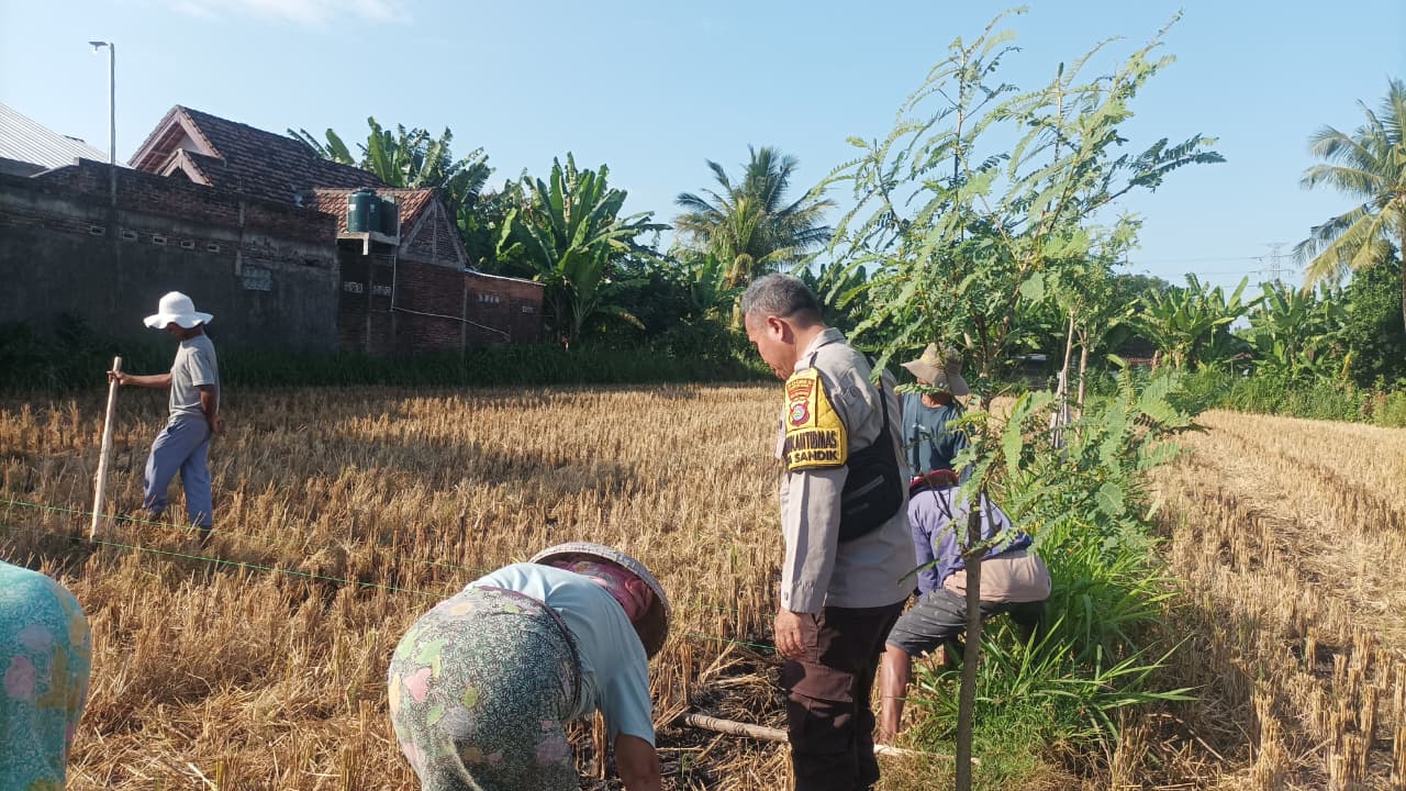 Dukung Ketahanan Pangan, Polsek Batulayar Edukasi Petani Jual Ke Bulog
