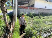Bhabinkamtibmas Desa Kumbang Perkuat Ketahanan Pangan Lewat Sambang Warga dan Monitoring Lahan Pertanian