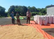 Bhabinkamtibmas Desa Soritatanga Pantau Pascapanen Jagung, Edukasi Petani Jaga Kualitas Hasil Panen