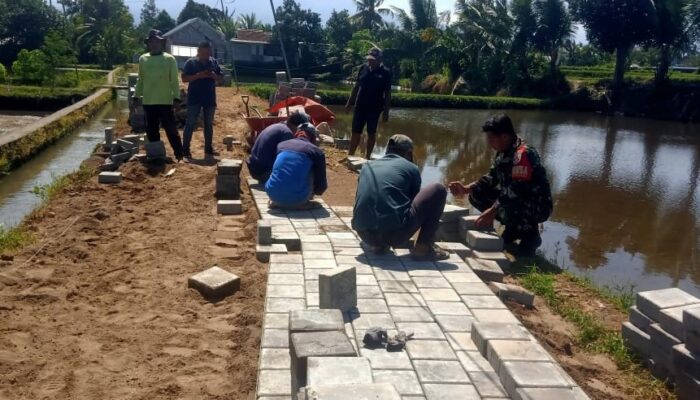 Babinsa Dampingi Pembangunan Jalan Usaha Tani Demi Kemajuan Petani