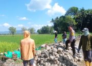Bhabinkamtibmas Desa Dorebara Dampingi Pembuatan Saluran Irigasi, Dorong Produktivitas Pertanian dan Pemanfaatan Pekarangan
