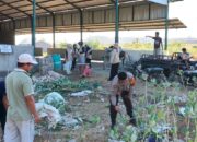 Bhabinkamtibmas Polsek Kilo Bersama TNI, Pemerintah Desa dan Mahasiswa KKN Gelar Gotong Royong Jumat Bersih