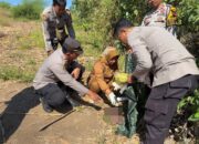 Gegerkan Warga, Sesosok Bayi Ditemukan Meninggal Dunia di Lahan Jagung Badas