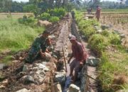 Monitoring Babinsa Dorong Infrastruktur Pertanian Lebih Berkualitas dan Berkelanjutan