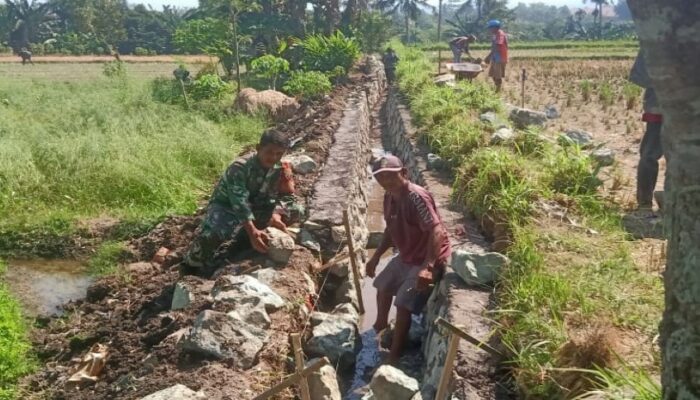 Monitoring Babinsa Dorong Infrastruktur Pertanian Lebih Berkualitas dan Berkelanjutan