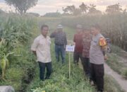 Bhabinkamtibmas Desa Malaju Dorong Pemanfaatan Pekarangan untuk Dukung Ketahanan Pangan di Kecamatan Kilo