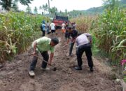 Gotong Royong Bangun Jalan Ekonomi, Bhabinkamtibmas Desa Dorebara Dorong Peningkatan Kesejahteraan Petani