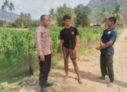 Bhabinkamtibmas Desa Mumbu Pantau Lahan Jagung dan Ajak Warga Dukung Keamanan Desa